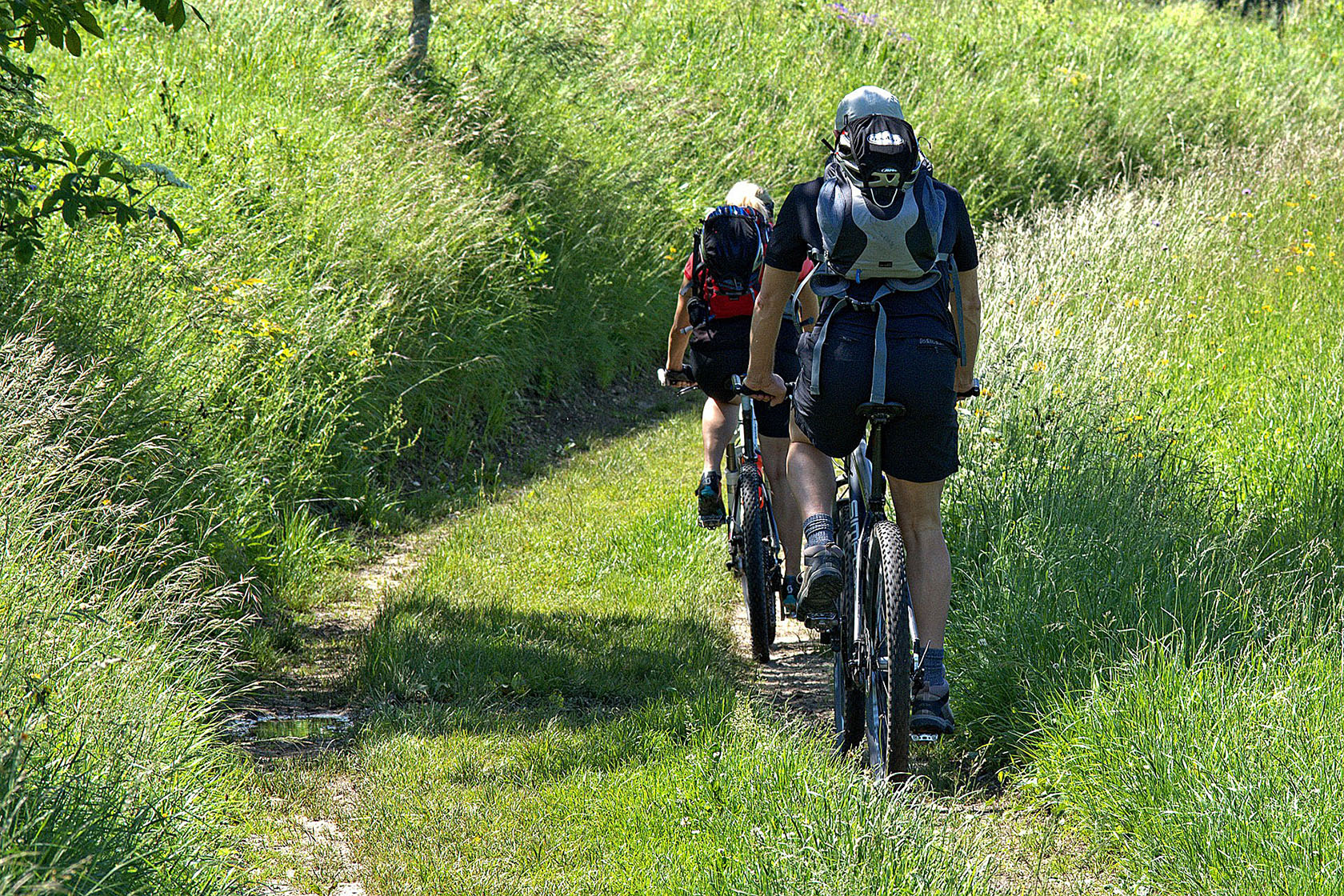 Radfahren, E-Bike-Tankstelle & Rennrad/Mountainbike-Touren